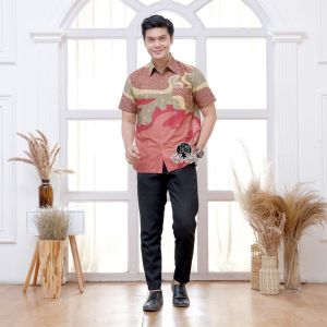 Kemeja Batik Pria Lengan baju batik pria terbaru 2024 New Motif Pekalongan Seragam Batik Exclusive