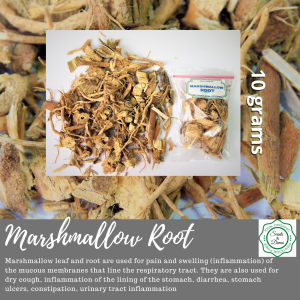Dried Marshmallow Root Tea