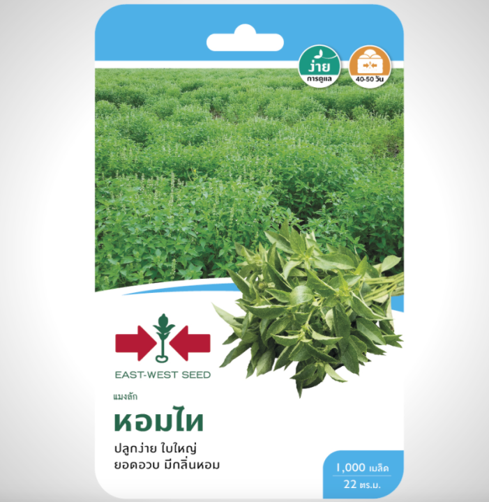 เมล็ดแมงลัก หอมไท F1 ศรแดง สำหรับปรุงอาหารไทย