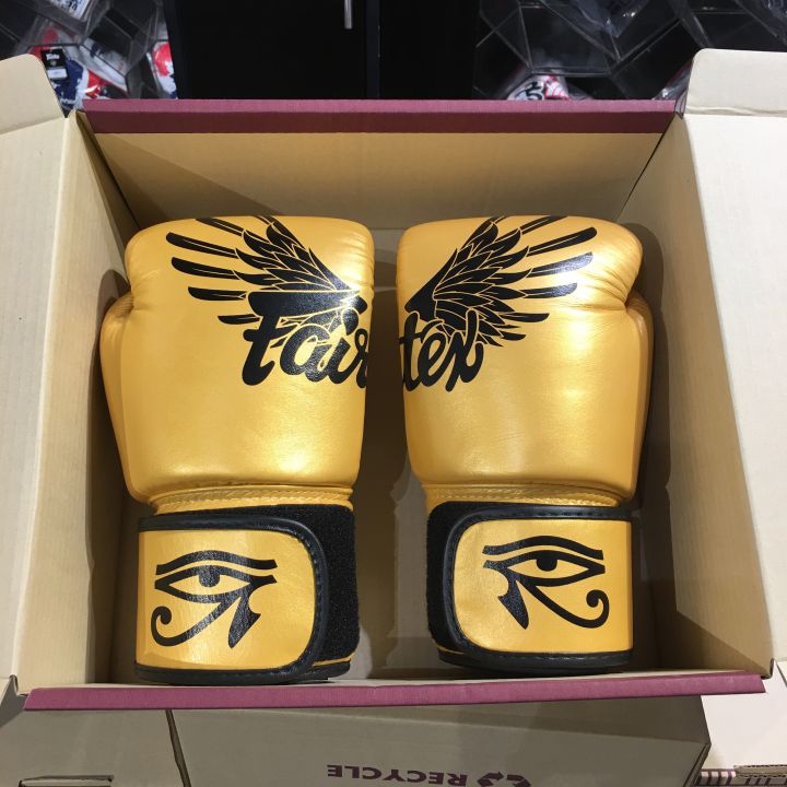 Fairtex falcon gloves shop
