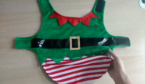 Dog Elf Vest with Red Zig Brim for Puppy Christmas Elf Red and Green Apparel Festive Puppy Vest Red and Green Theme