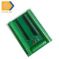 Đế ra chân Rapberry pico , Mạch cắm rapberry domino 3.81mm. 