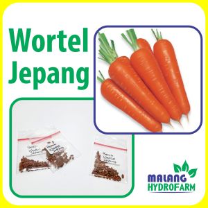 Benih Wortel Jepang Unggulan berkualitas biji bibit hydroponik hidroponik sayuran tanaman sayur impor