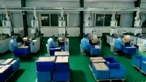 Five Years Chen Moxa Stick Moxa Stick Products Pure Argy Wormwood Velvet Wormwood Strip Household