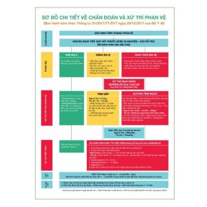 Sơ Đồ Chẩn Đoán Và Xử Trí Phản Vệ - tranh decal có keo dán cán màng chống nước dày rõ nét