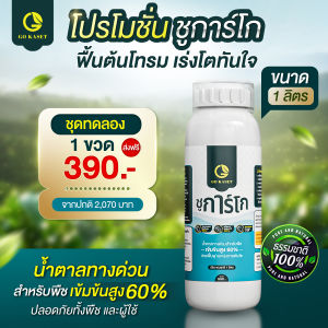 (1ขวด) ขนาด 1000 ml - Sugar Go (ชูการ์โก) น้ำตาลซอร์บิทอล(Sorbitol) ปุ๋ยน้ำ พลังงานทางด่วนสำหรับพืช