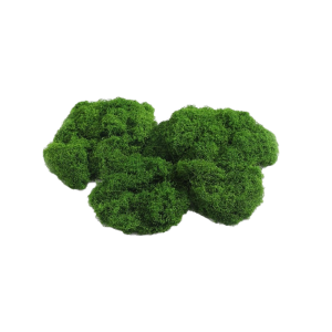 100g Simulation Moss Green Artificial Moss Green Fake Plant For Garden Micro Landscape Decoration