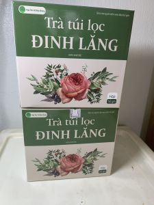 Hộp 40 túi trà đinh lăng túi lọc đinh lăng khô trà an thần hoạt huyết dưỡng não ngủ ngon rối loạn tiền đình thiếu máu hoa mắt chóng mặt
