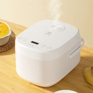Nồi cơm điện ZOLELE 5L ZB600 trắng bản quốc tế