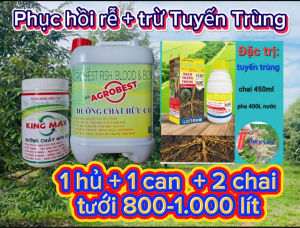 Phục hồi sầu riêng sau thu hoạch tẩy rong kích thích rễ nâng PH đất cung cấp dinh dưỡng dễ hấp thụ cho cây sầu riêng
