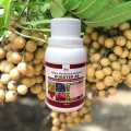 Pupuk Booster 88 Pelebat Buah Paket 3 Botol 500ml Ekstra 12% Paclobutrazol. 