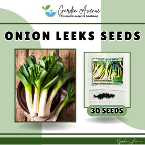 SULIT PACK! ONION LEEKS SEEDS (30PCS SEEDS) - BIG GREEN/HYBRID/FOR PLANTING/EASY TO GROW