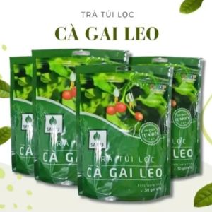 Trà cà gai leo túi lọc Sadu hỗ trợ hạ men gan tăng cường chức năng gan giải độc gan 1kg