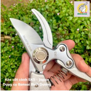 KÉO CẮT CÀNH CÂY CẢNH CỘNG LỰC xuất xứ JAPAN (Chính hãng) - KÉO CẮT CÀNH CỘNG LỰC YOKOHAMA JAPAN SK5