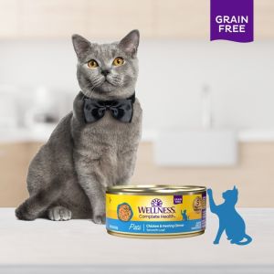 【Pet Mates】Wellness Complete Health - Grain-Free Pate Smooth Loaf Wet Cat Food 5.5oz (156g) | 9 Tasty Flavors