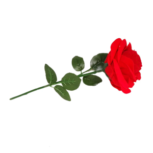 Exquisite Elegant Rose Rings Box With Soft Flocking Lining Materials Accessory for Special Occasions Organization