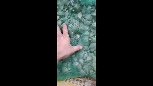 巴西龟活物小乌龟摆摊观赏宠物红耳龟外塘养殖批发送龟粮包活好养