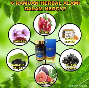 pIL HERBAL NEOCYP pegal linu rematik encok saraf kejepit TUNTAS