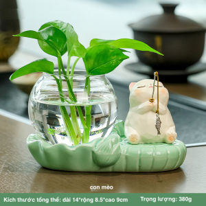 Bộ decor ếch xanh gấu trúc trang trí bàn làm việc thu hút tài lộc cầu bình an