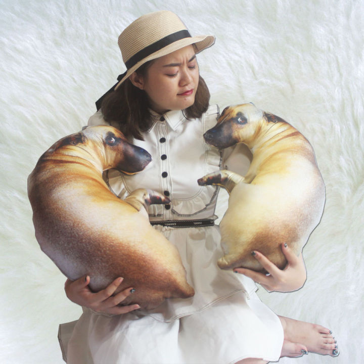 Gối ôm hình con chó gối ôm chó mập gối ôm 3d hình con cún quà tặng sinh nhật cho bé thú nhồi bông 3D