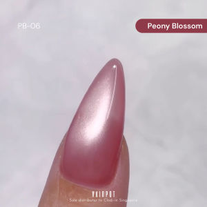 [Vainpot-SG] Clodi Pink Blossom Collection Set / 6 Magnetic Cateye TPO/ HEMA-free Korean Soak Off Gel Polish