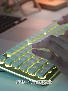 (HD1) Wolf Road L1 Mechanical feel silent wireless keyboard for desktop and laptop suitable for gaming and office use with backlight and wired connection