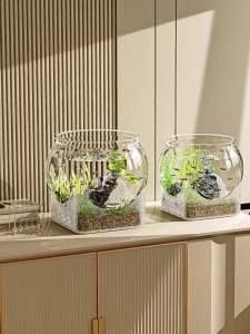 Decorative Flower Vase Transparent Design Transparent fish tank The material is simple and made of plastic and resistant to falls with multiple styles of small Daily Organisation