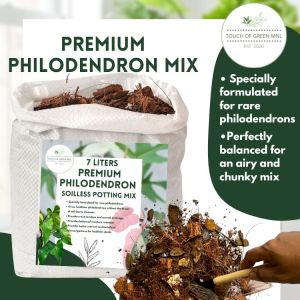 Premium Philodendron Soilless Potting Mix (4L 7L 11L)