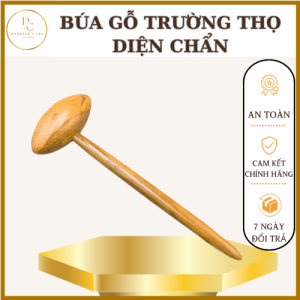 Búa Trường Thọ Gõ Huyệt Chân Gỗ Thơm Dụng Cụ Diện Chẩn Cải Thiện Đau Lưng Vai Gáy