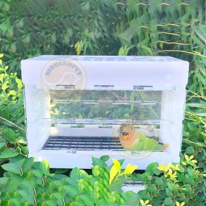Pigeon Cage Pigeon training box Foldable Plastic Tbox for pigeon Portable Bird cage supplies