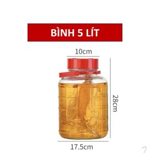 Bình Thủy tinh - Nắp đỏ có quai xách - Dung tích 5 lít (không vòi)