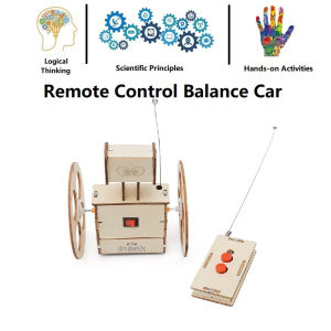 DIY Remote Control Balance Car Kit: Build Your Own Robot Racer: Educational Science Toys: STEM Kids Toys