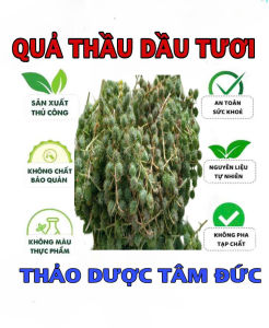 1kg quả thầu dầu tươi hữu cơ tự nhiên