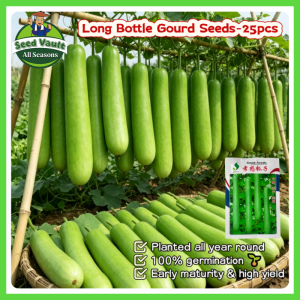 Fast Growing 25pcs Fresh Organic Upo Seeds for Planting Vegetables High Yield Long Bottle Gourd Seeds for Sale F1 Upo Tambuli Vegetables Seeds for Gardening Balcony Bonsai Upo Seedlings Super Giant Long Loofah Sponge Gourd UPO Live Plant Vegetable Plant