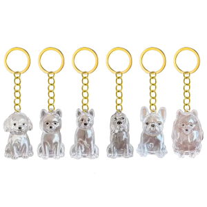 Vật nuôi tro tưởng niệm Keychain với hộp bảo vệ trong suốt lông chó hộp để bảo vệ lông chó kỷ vật