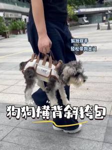FC7o Carrier for Small Dogs and Cats