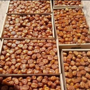 Kurma SUKARI King Dates Sukari 3KG Kualitas Super Premium VIP Grade A Exclusive Packing Sukary Basah