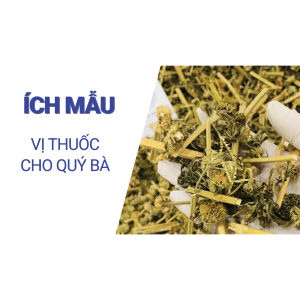 Ích mẫu khô 100g trà ích mẫu giúp bồi bổ khí huyết điều hoà kinh nguyệt cân bằng nội tiết tố