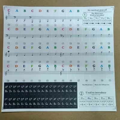 Piano Sticker Keyboards colourful Transparent & Black keys Removable Piano Stickers 49 / 61/ 76 / 88 Key