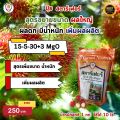ปุ๋ยสตาร์เฟอร์ 3 สูตร ครบทุกความต้องการของต้นเงาะ สูตรเร่งโต สูตรเร่งราก เร่งดอก สูตรเร่งผล ขยายขนาด เพิ่มผลผลิต. 