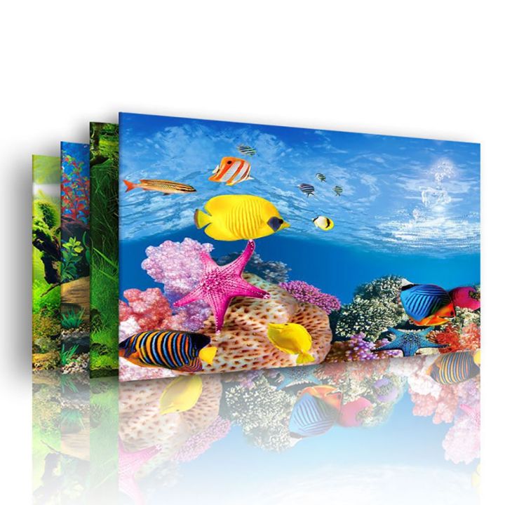 ZEEBR 3D Multipattern Dublesided Antifade for Fish Tank Aquarium