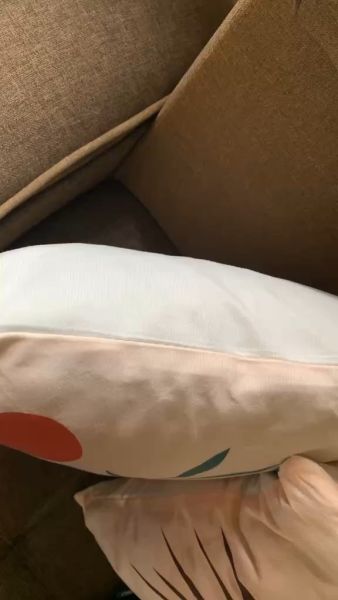 Buyer review video 6