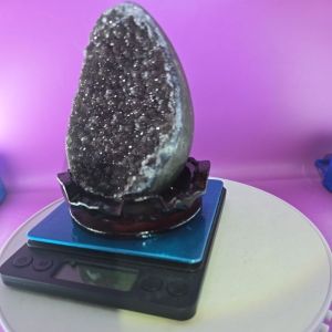 红色龙蛋RED DRAGON EGG♥♥♥♥♥♥