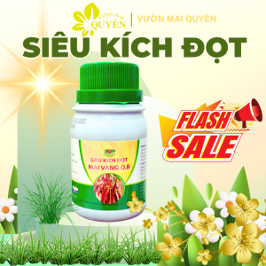Siêu Kích Đọt Q.B