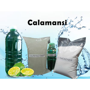 D.I.Y Dishwashing Liquid Kit