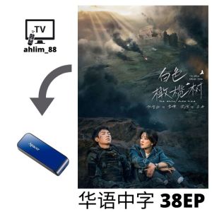 USB China Drama 陈哲远大陆剧 《暗夜与黎明 + 白色橄榄树》 华语中字 Mandarin
