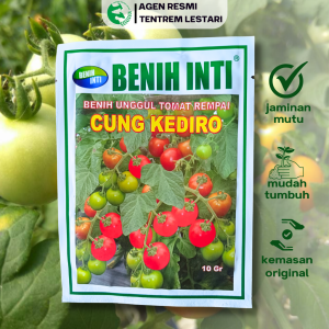 Benih Tomat Cery CUNG KEDIRO 10 gr Asli Cap BENIH INTI Lebat Unggul