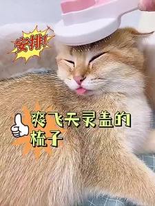 Hair Brush Self Cleaning Dog Cat Kitten Comb Grooming Fur Care
