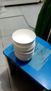 Set 10 bát ăn cơm nhựa phíp dẻo hàng cao cấp việt nhật