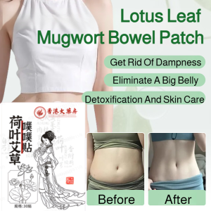 Lotus Leaf Patch Abdominal Wet Fat Buster Big Belly Patch Herbal Wet Fat Moxibustion Patch